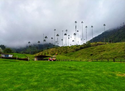 Cocoratal - Kolumbien Rundreise 2 Wochen