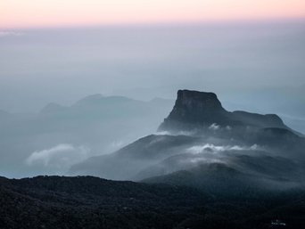 Hochebene in Sri Lankas Horton Plains Nationalpark