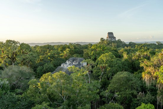Tikal Maya Stätte im Regenwald
