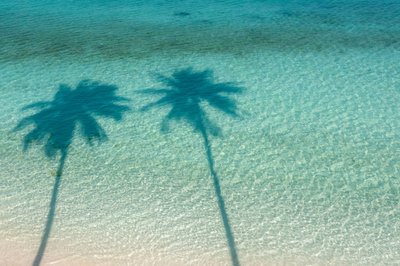 Schatten von Palmen im türkisfarbenen Wasser auf Corn Island