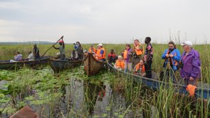 Reisegruppe beobachtet einen Schuhschnabel in Uganda