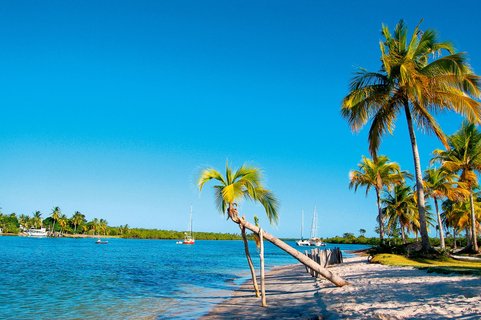 Brasilien Rundreise 2 Wochen - Palmen am Strand