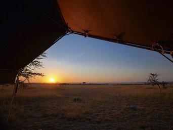 Ausblick aus dem Zelt inmitten der Serengeti
