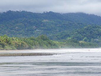 Strand und im Hintergrund Regenwald