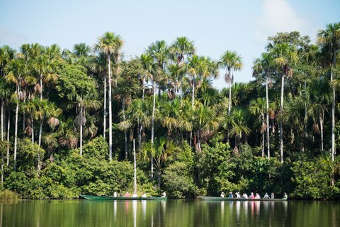 Peru regenwald