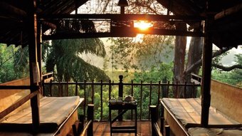 Blick von der Terrasse eines Bungalows in die Natur