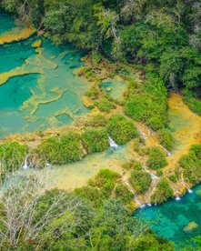 Türkises Wasser in Semuc Champey