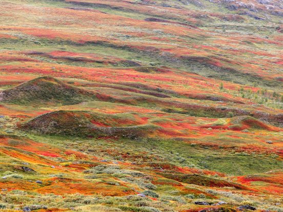 Herbstliche Landschaft