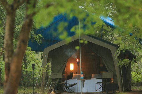 Sr Lanka Big Game Camp Wilpattu Zelt im Regen