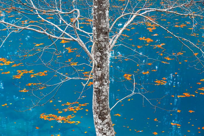 Fotoreisen mit Johannes Kowalewski