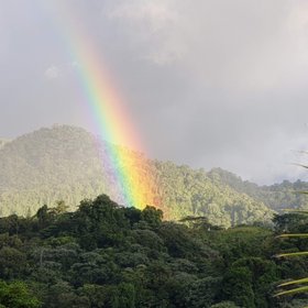 Regenbogen im Regenwald