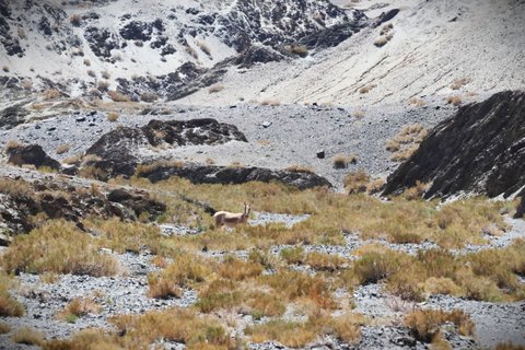 Mongolei Rundreise berge mit pferd im Tal