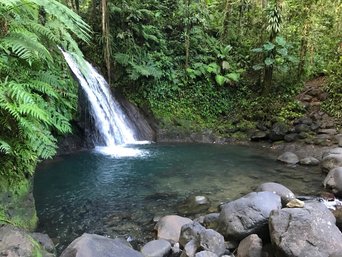 Wasserfall im Dschungel