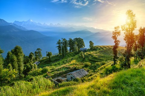 View of beautiful Panchchuli Peaks of the Great Himalayas as seen from Munsiyari, Uttarakhand, India.