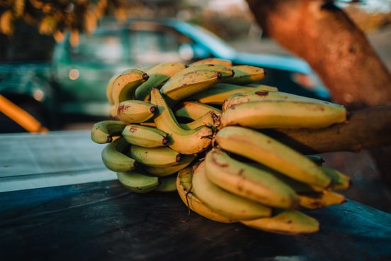 Bananen in Panama