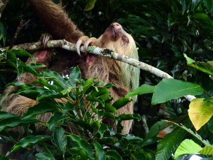 Kleingruppenreise Costa Rica