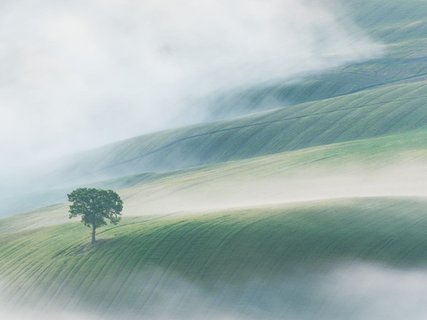 Gruppenreise Toskana - Nebel