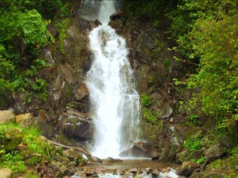 Ein Wasserfall umringt von dichtem Grün in Boquete.