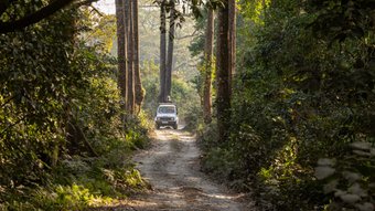 Safari in Indien