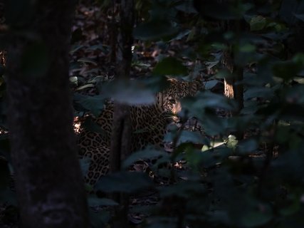 Indien Rundreise 2 Wochen