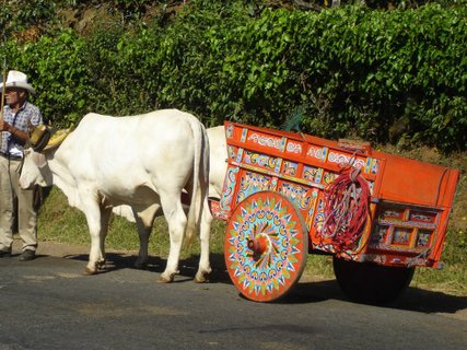 ???????????????????????????????