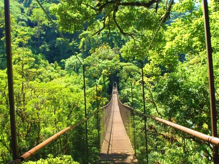 panama gruppenreise - Hängebrücke
