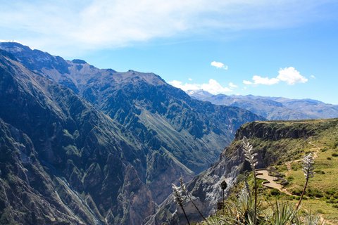Peru anden - Peru Rundreise 3 Wochen