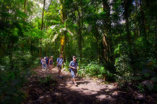 Reisegruppe wandert im Regenwald von Costa Rica