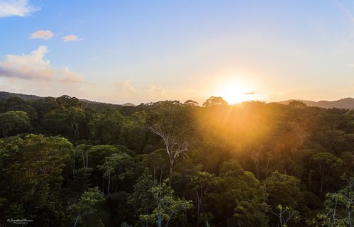 Costa Rica Wanderreise - Sonnenuntergang Regenwald
