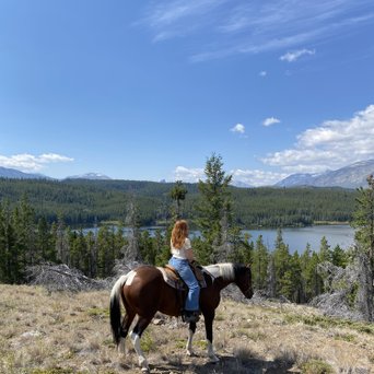 Pferd und Reiter auf einem Berg mit Aussicht auf ein See und Wälder in Kanada