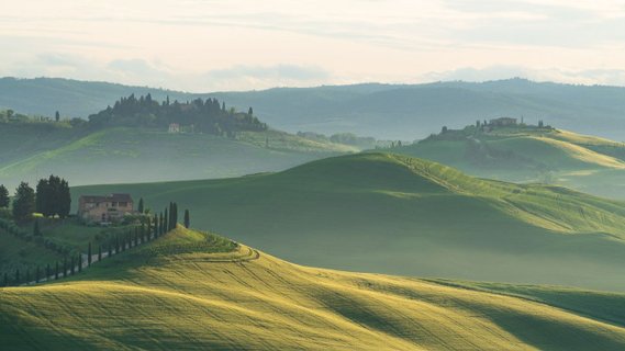 Gruppenreise Toskana - hügelige Landschaft am Morgen