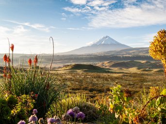 Schneebedeckter Cotopaxi