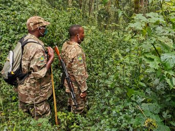 Ranger im Bwindi Nationalpark auf dem Weg zu den Gorillas.