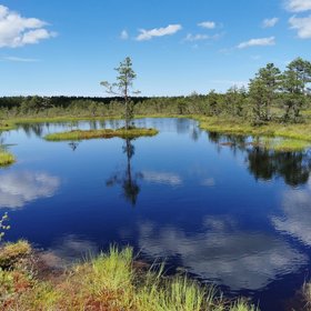 Dunkelblauer Moorsee in Estland