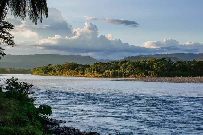 Fluss in Ecuador mit Regenwald