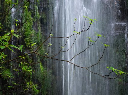 Fotoreise Madeira - Wasserfall