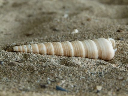 Costa Rica 2 Wochen Gruppenreise