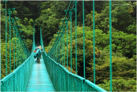 Costa Rica 21 Tage - Hängebrücke über Regenwald