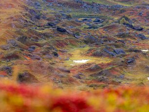 Herbstliche Landschaft in Schweden