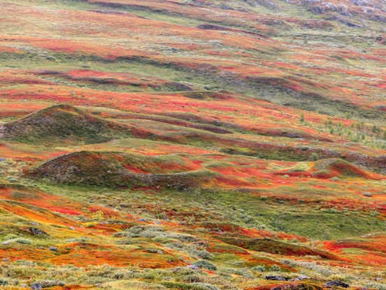 Herbstliche Landschaft