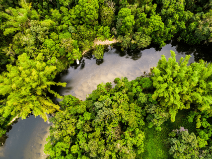Gruppenreise Brasilien - Amazonas von oben
