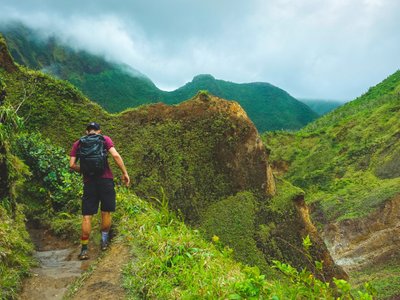 Mann wandert in grüner Berglandschaft - Guadeloupe & Dominica Highlights