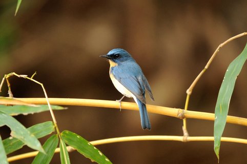 Südindien Rundreise