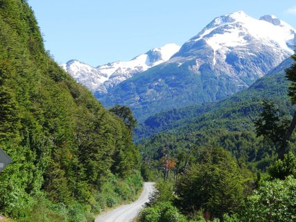 Patagonien Gruppenreise - Pumalin Douglas Tompkins Nationalpark