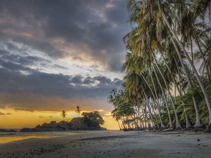 Costa Rica 2 Wochen Gruppenreise - Palmenstrand