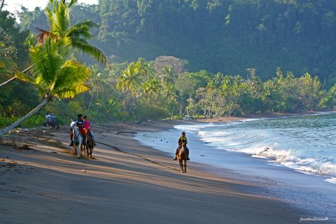 Costa Rica 21 Tage - Blick auf Strand mit Palmen im Abendlicht