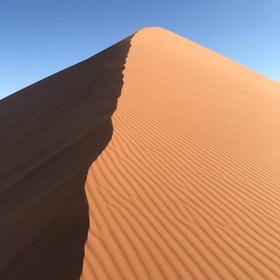 Orangene Sanddüne in der Namib-Wüste