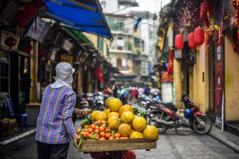 Vietnam Rundreise 2 Wochen - Obstverkäufer Hanoi