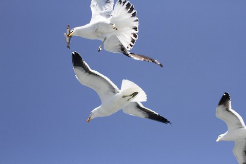 Namibia 2 Wochen Rundreise