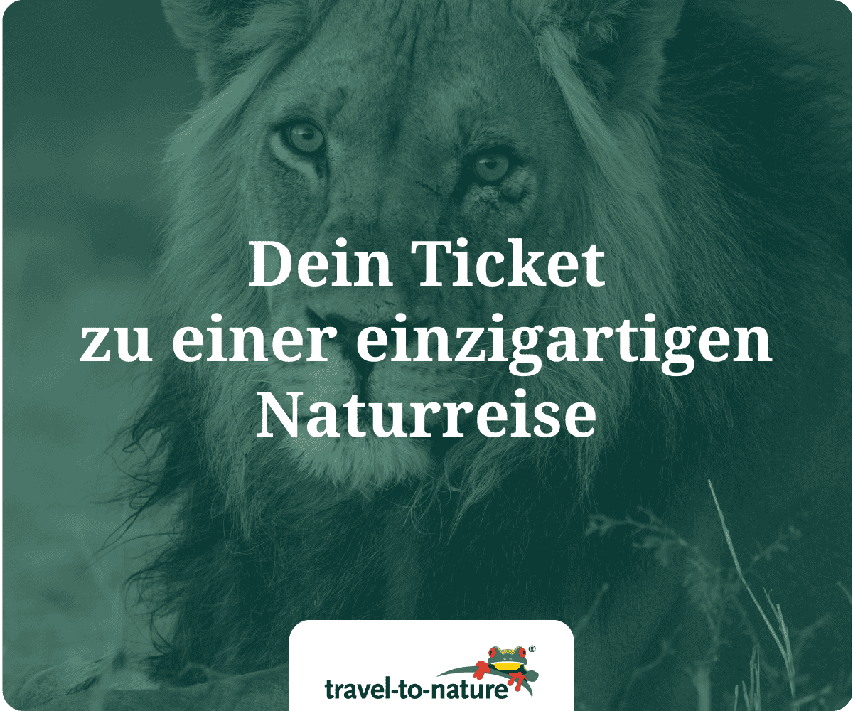 Dein Ticket zu einzigartigen Naturreisen – travel-to-nature